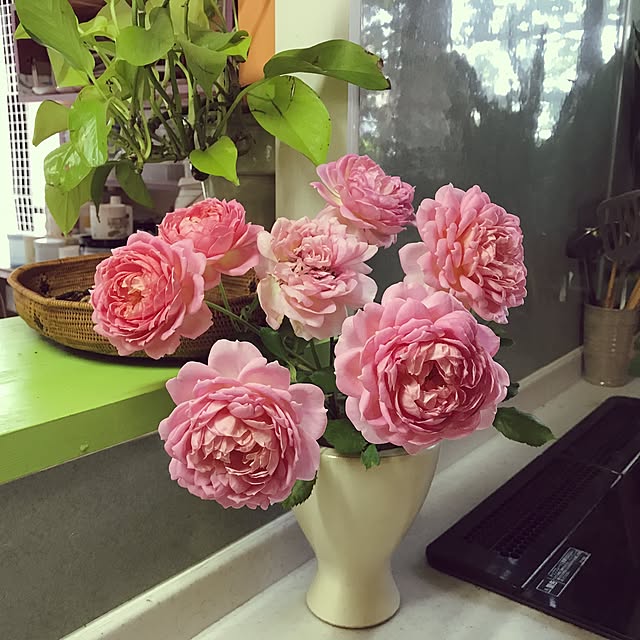 kimishigureさんの実例写真