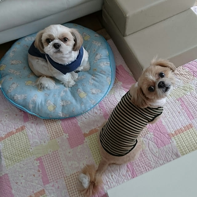 ronさんの実例写真