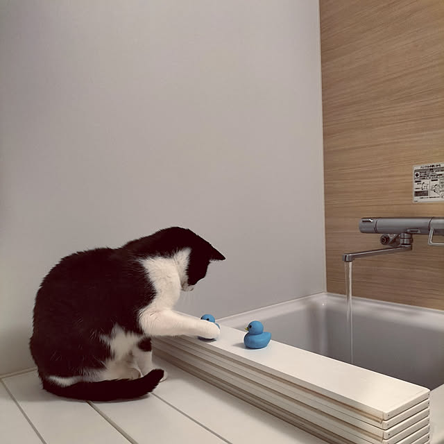 hihaさんの実例写真