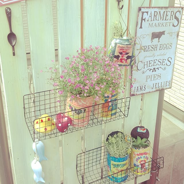 misaさんの実例写真