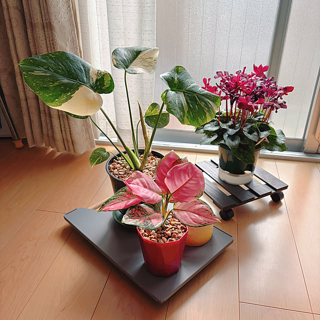 hameさんの実例写真