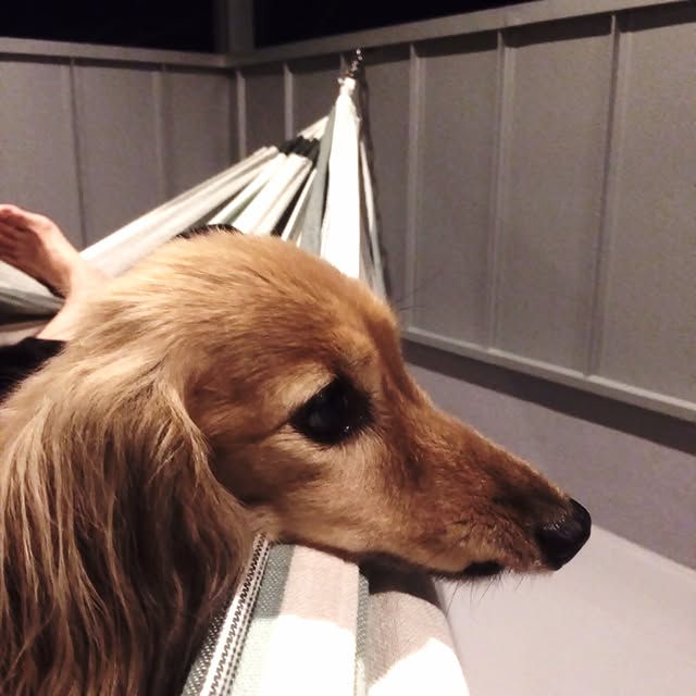 yoshiyoshicheeさんの実例写真
