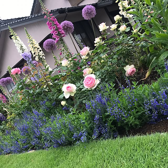 kinakoさんの実例写真