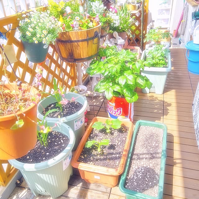 mariaさんの部屋