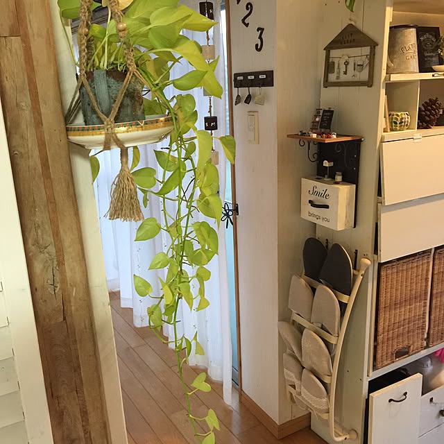 fusaさんの実例写真