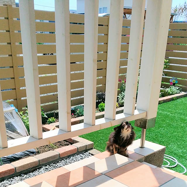 sakuさんの実例写真