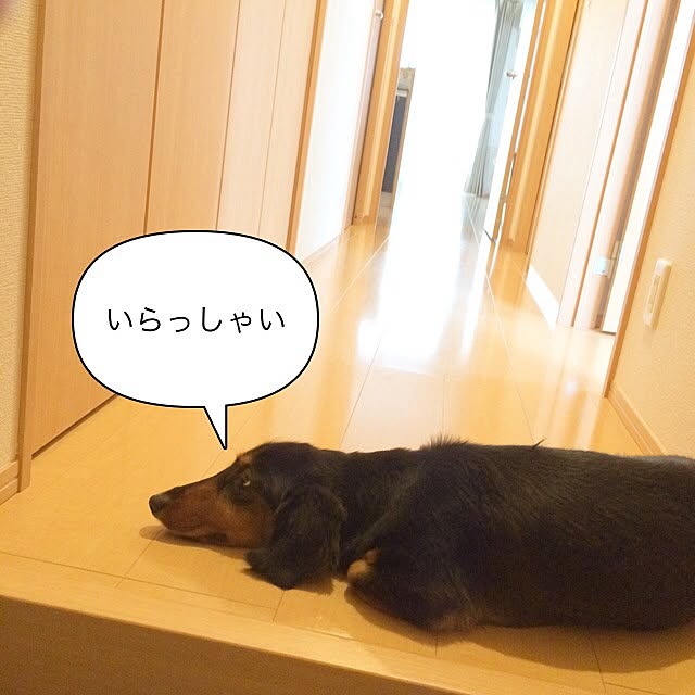 konosukeさんの実例写真