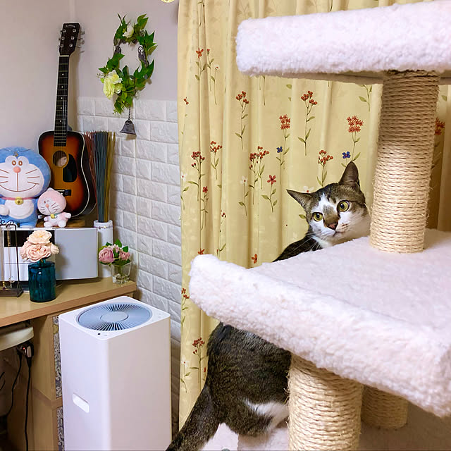 haruminさんの実例写真