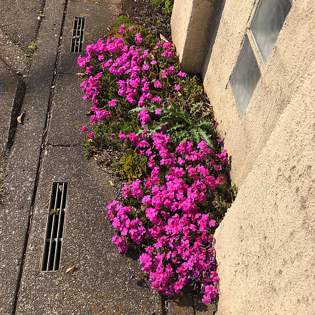 miukiさんの部屋
