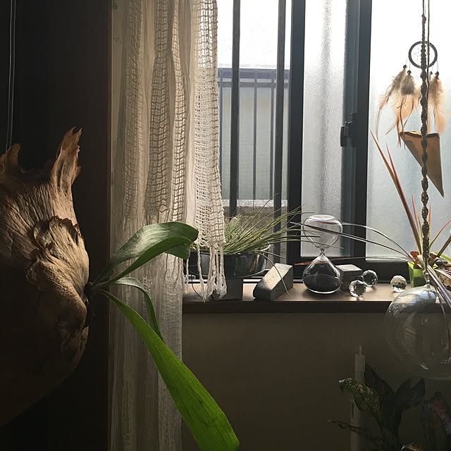 anri38さんの実例写真