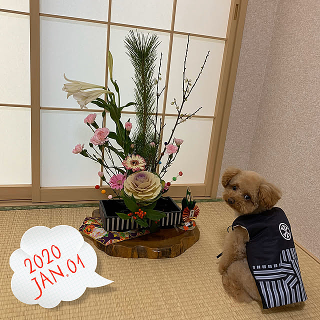 Samさんの実例写真