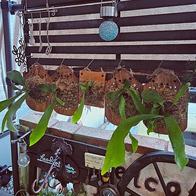 mocomocoさんの実例写真