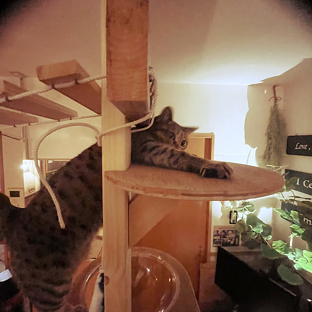 Mさんの部屋