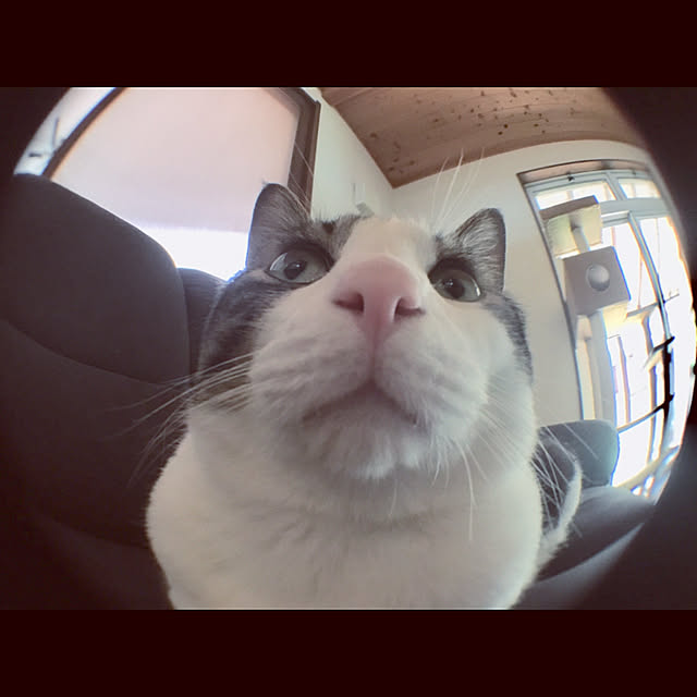marusanさんの実例写真