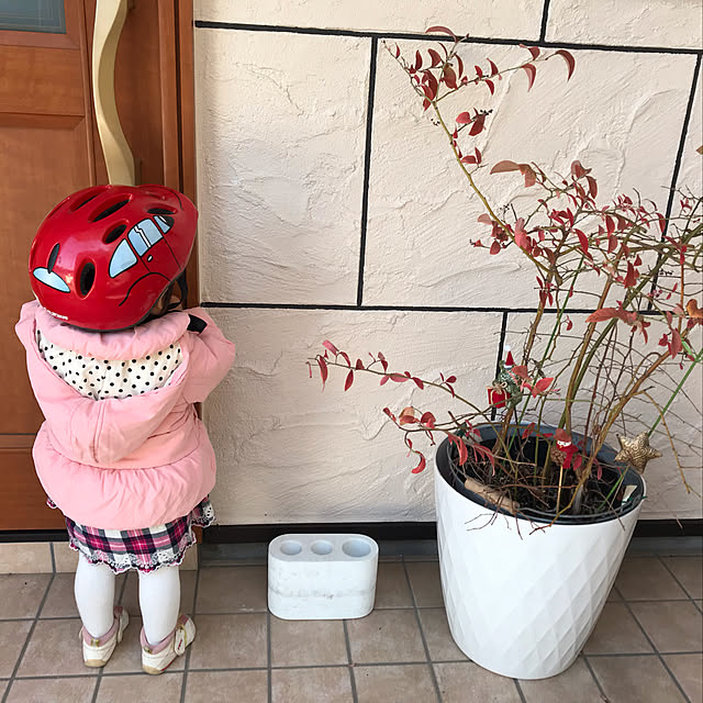 玄関/入り口/こどもと暮らす。/観葉植物/ブルーベリーの木/中古戸建てのインテリア実例 - 2018-12-02 15:42:24