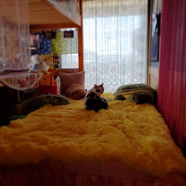 kumutanさんの実例写真