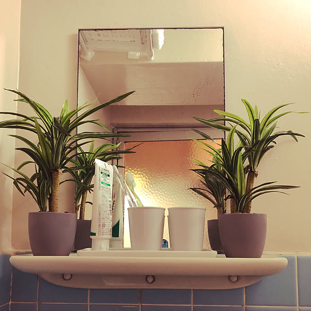バス/トイレのインテリア実例 - 2022-05-29 23:29:38