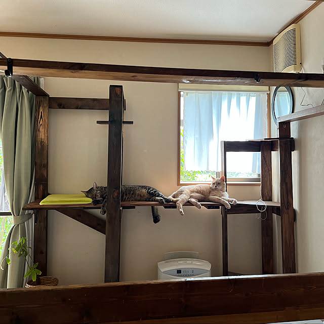 mikan161さんの実例写真