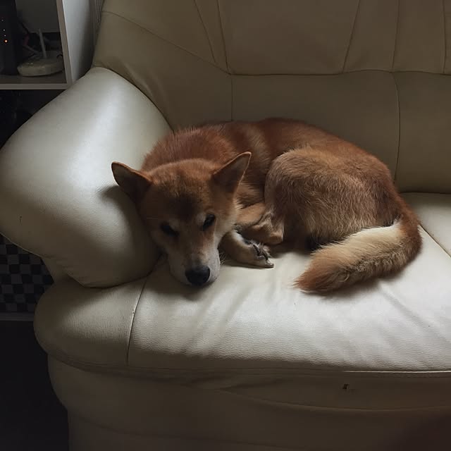 moririnさんの実例写真