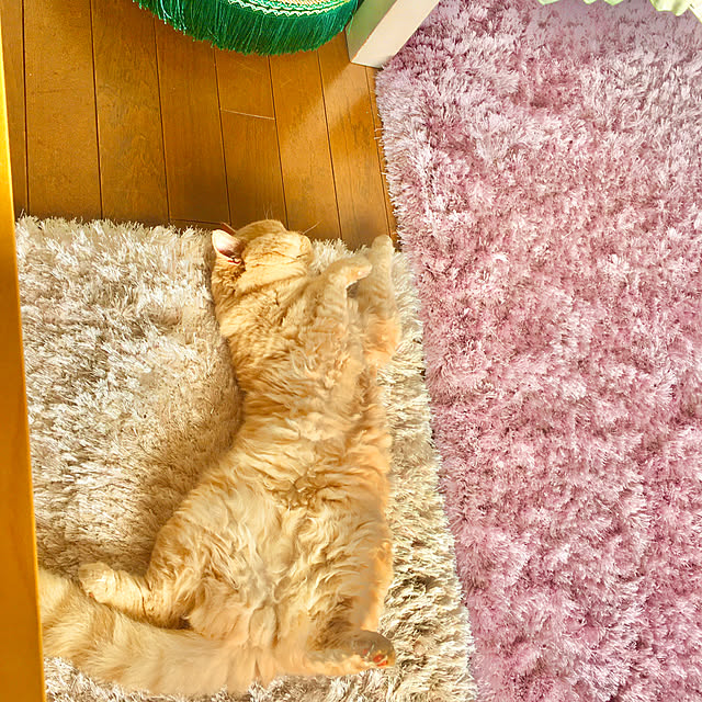 naokoさんの部屋