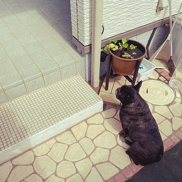 the.shooterさんの部屋