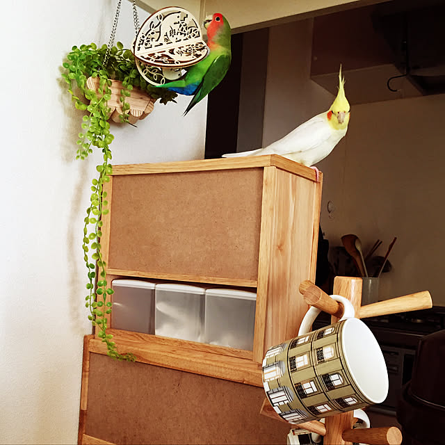 toratanさんの実例写真