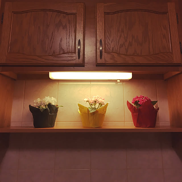 Keiさんの実例写真