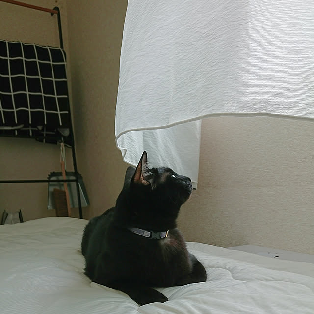 maikyさんの実例写真
