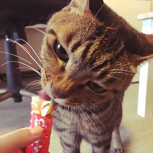 shigimiさんの実例写真