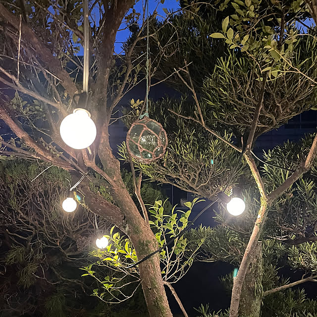 shin0719さんの実例写真