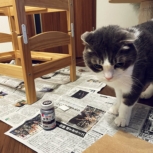 tansukeさんの部屋