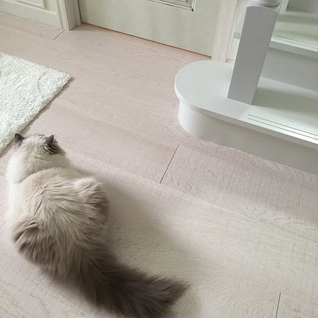 yuchiさんの実例写真