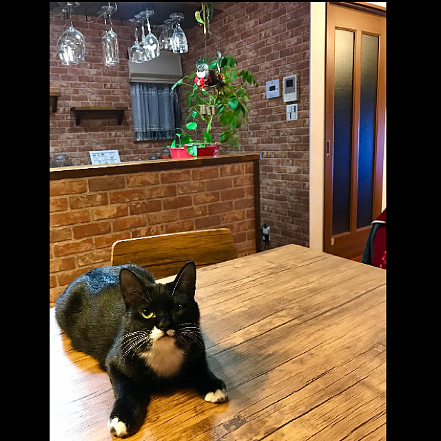 butachanさんの実例写真