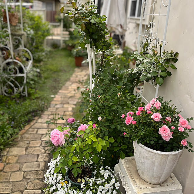 sakuraさんの部屋