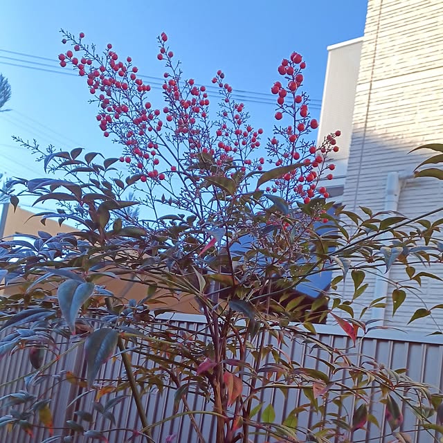 hiro.904さんの実例写真