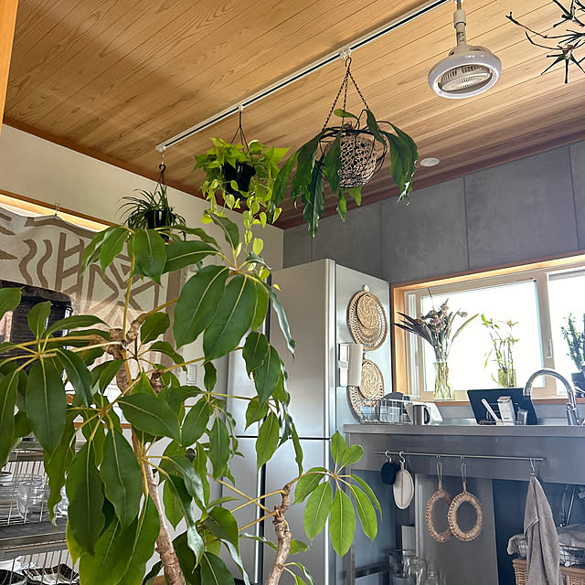 hira_muji_mihiさんの実例写真