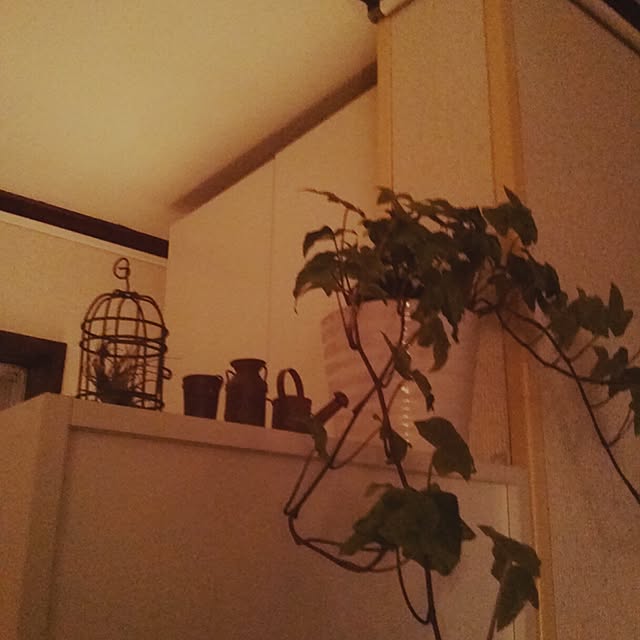 Miyukiさんの実例写真