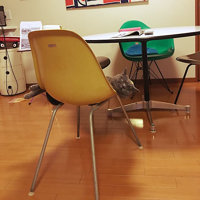 Shojiさんの実例写真