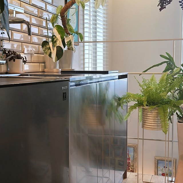 nonbiri_house_さんの部屋