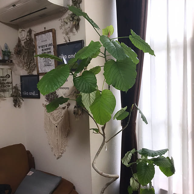 Akiさんの実例写真