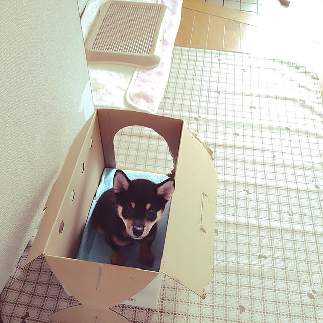 fruityanさんの実例写真