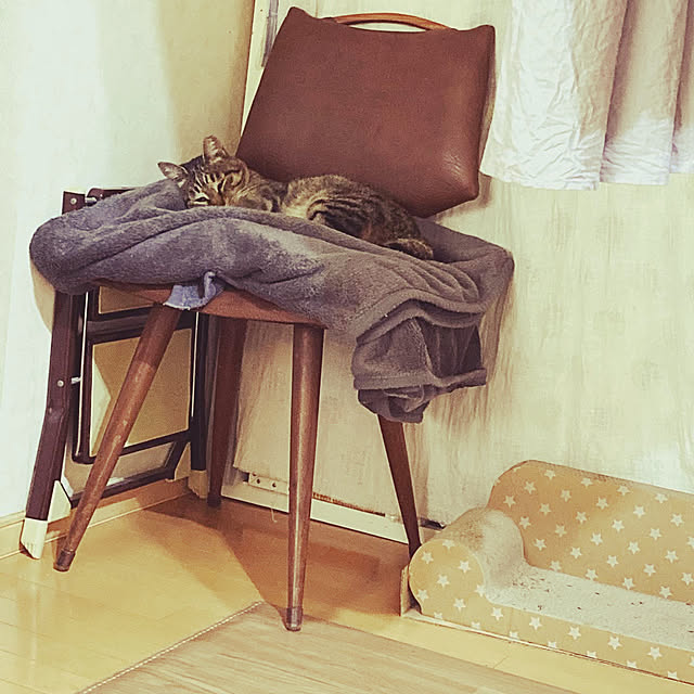 panchanさんの実例写真
