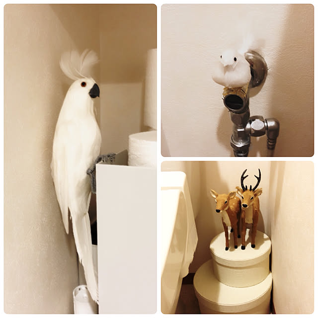 tmさんの実例写真
