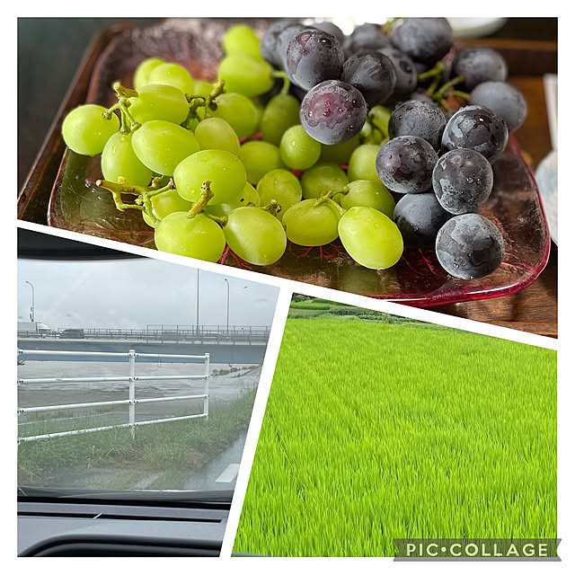 buchiさんの実例写真