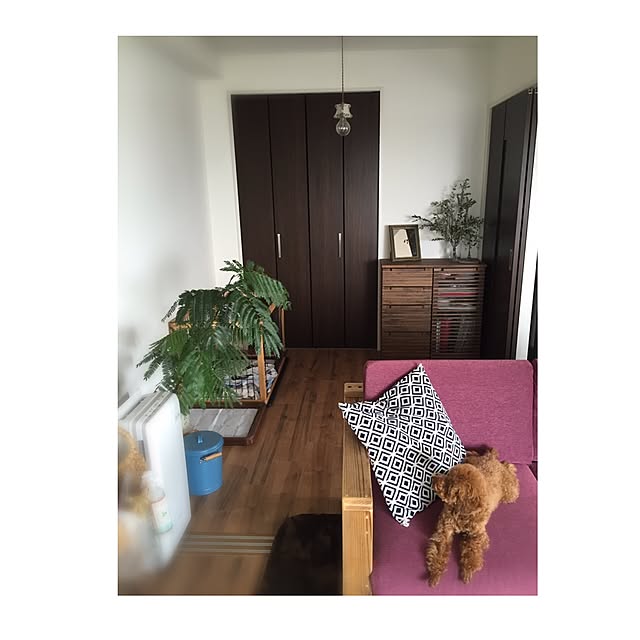 chihooo.sさんの実例写真