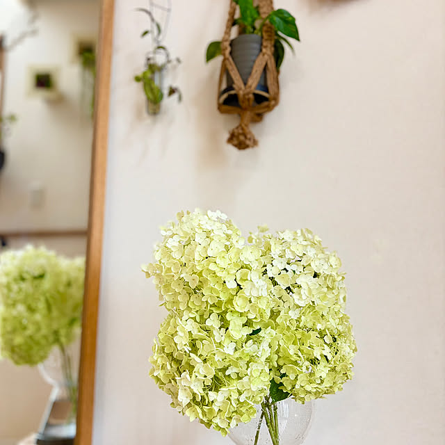 saahannさんの部屋
