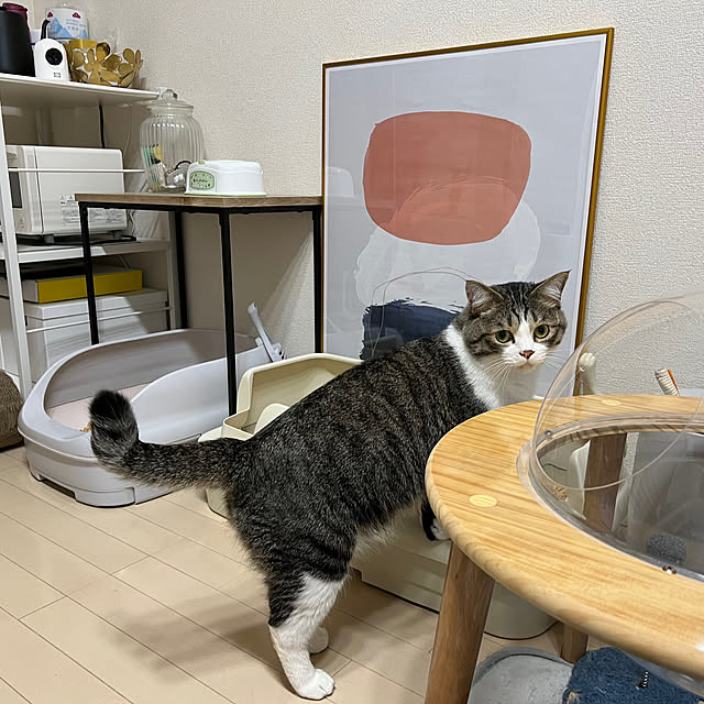 odashiさんの部屋