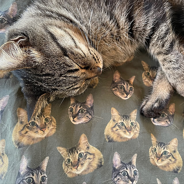 weさんの部屋