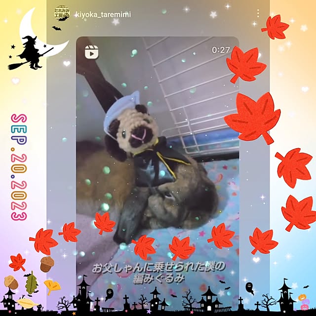 mariaさんの実例写真