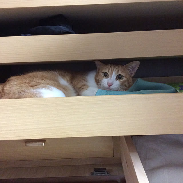 houenさんの実例写真